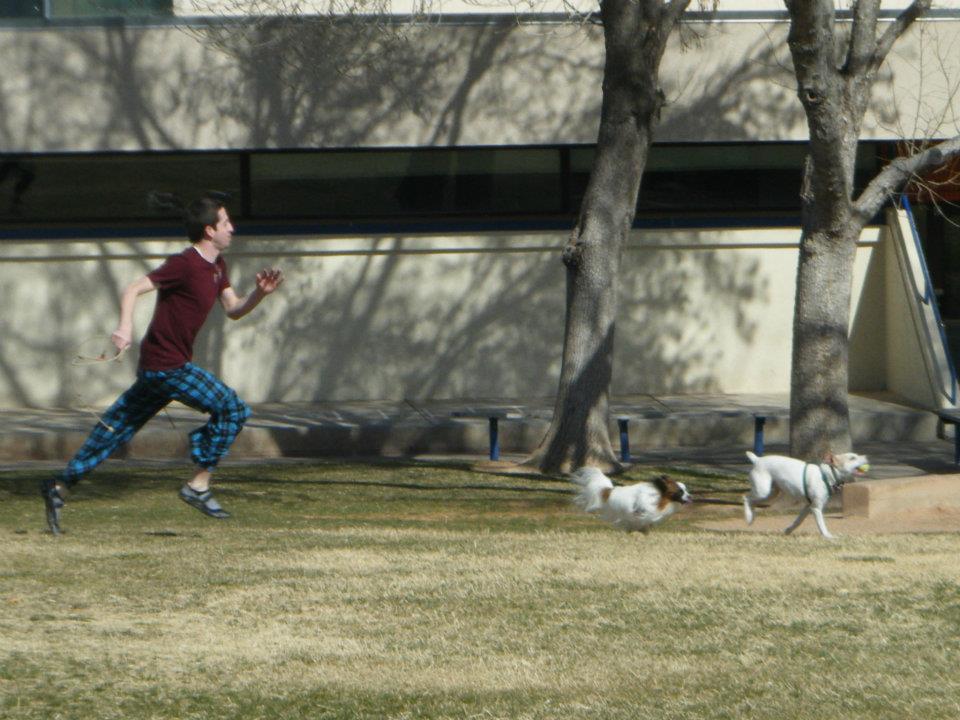 holden chasing the dogs