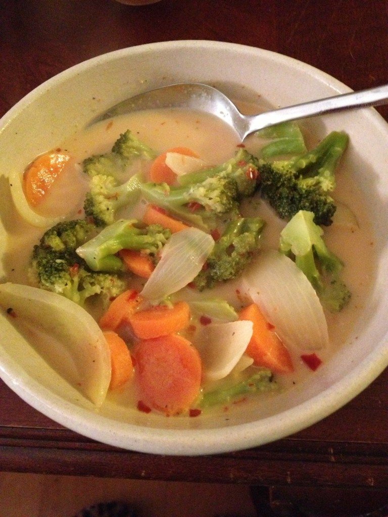 Chicken vegetable soup for the soul