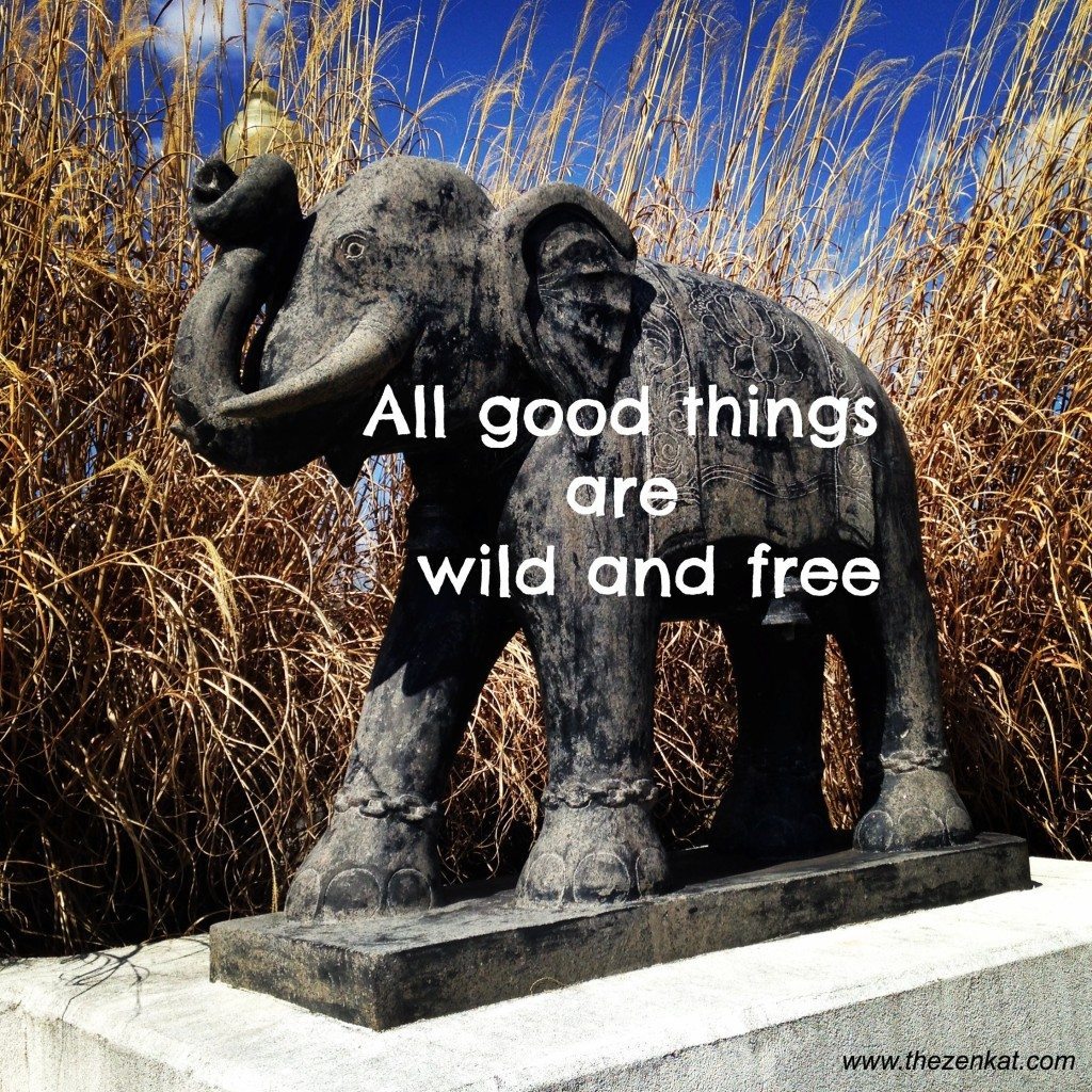 all good things are wild and free