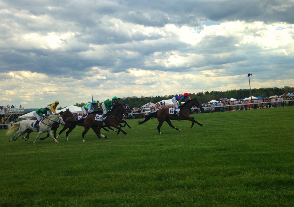 Foxfield horse races