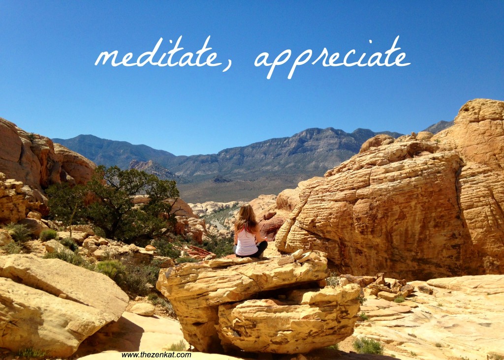 meditate appreciate
