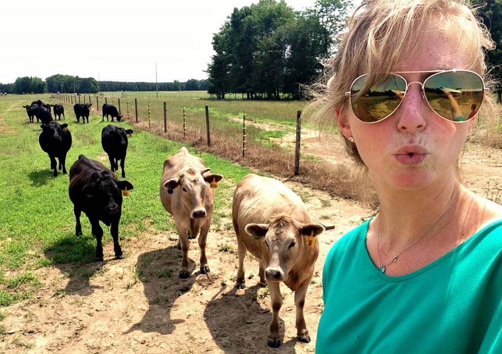 cow_selfie